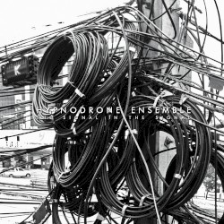 The Signal in the Signal