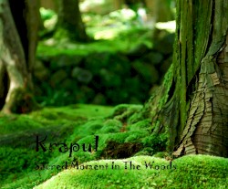 Sacred Moment in the Woods