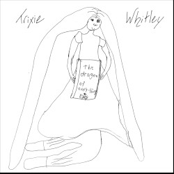 The Dragon of Everything