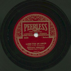 Lloré por un amor / Qué me importa