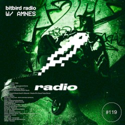 AMNES Presents: bitbird radio #119