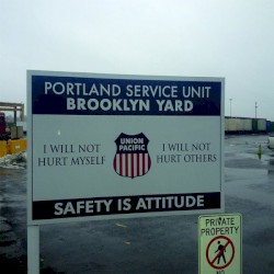 Two Genuine Oddities From Our Distant Past