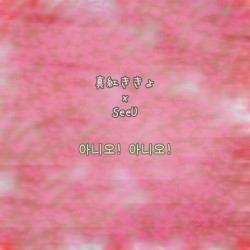 아니오! 아니오!