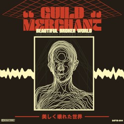 Beautiful Broken World