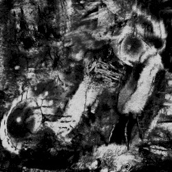 Her limbs, which should have been mashed up, have started to grow back.