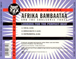 Looking for the Perfect Beat