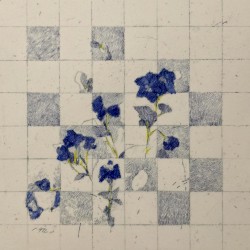 A Japanese Tale / אגדה יפנית