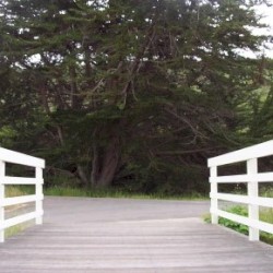 Complete Raptor - Sagan live at the Headlands Center for the Arts. Marin, CA 2003