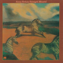 Serengeti Minstrel