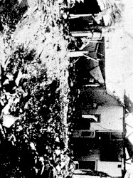 Thrust From the Grey