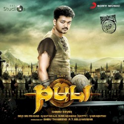 Puli