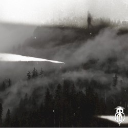 I've Been Thinking of Overdosing