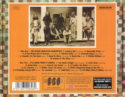 The Ozark Mountain Daredevils / It'll Shine When It Shines