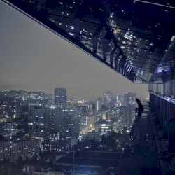 While the City Dreams