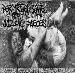 Rotting Bitches In Drainage Ditches