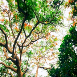 Escape To Nature's Beauty