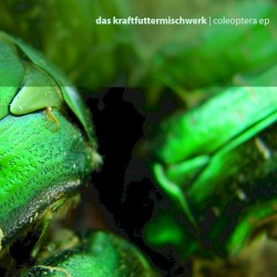 Coleoptera