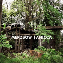 Anicca
