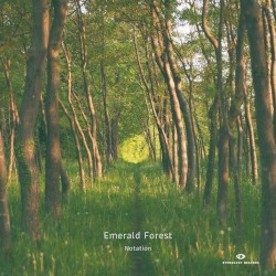Emerald Forest