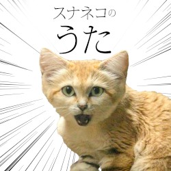 スナネコのうた