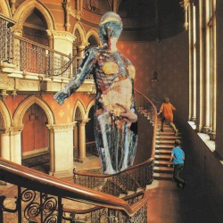 Live at Backroom Studios EP