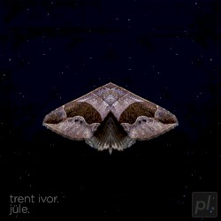 moths and their love for street lamps