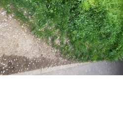 Ever feel like you can’t escape what the place you grew up in molded you into