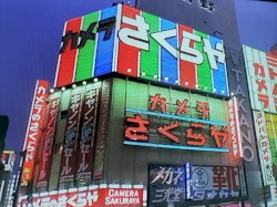 Ｂｒａｉｎ Ｆｏｇ