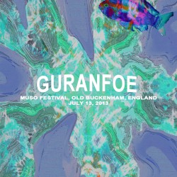 2013-07-13 Muso Festival, Old Buckenham, England