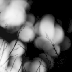 Silentium