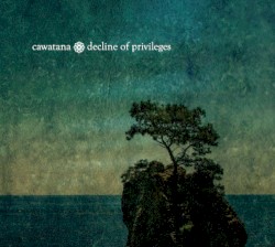 Decline Of Privileges