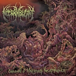 Upheaval of Malignant Necrambulance