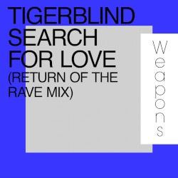 Search for Love (Return of the Rave mix)