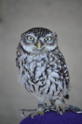 Enrich Your Soul With Five Hundred Original Prayers