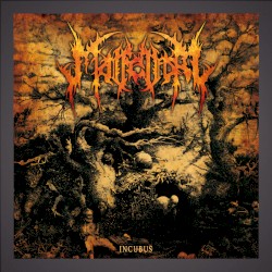 Incubus