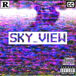 SKY_VIEW