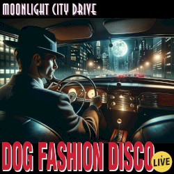 Moonlight City Drive (live)