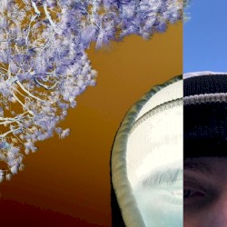 Consciousness+Vanity