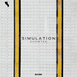 Simulation