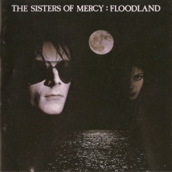 Floodland