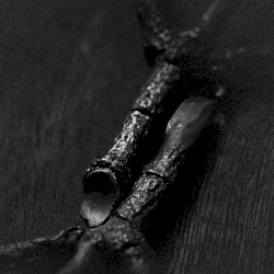 ᛉᛦ – Algir; eller Algir i Merkstave