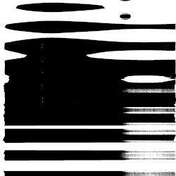 NO REASON WHATSOEVER