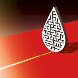 Head in a Hornet’s Nest