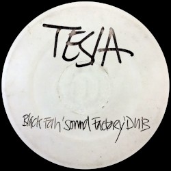Tesla (Black Fan's 'Sound Factory dub)