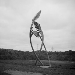 Life Implies Death