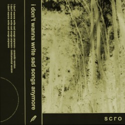 I Don’t Wanna Write Sad Songs Anymore