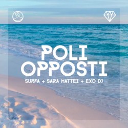 Poli opposti
