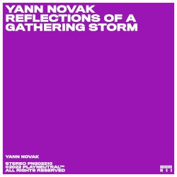 Reflections of a Gathering Storm