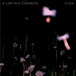 A Line That Connects