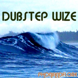 Dubstep Wize